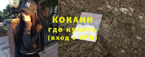 не бодяженный Бородино