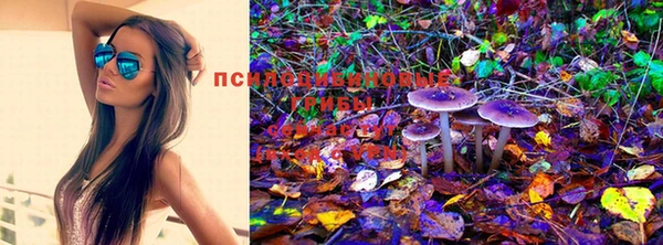 мяу мяу мука Бугульма