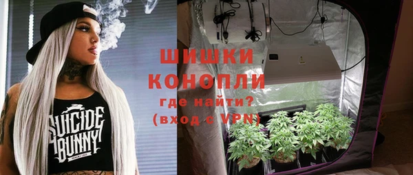 ПСИЛОЦИБИНОВЫЕ ГРИБЫ Бронницы