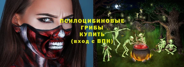 ПСИЛОЦИБИНОВЫЕ ГРИБЫ Бронницы