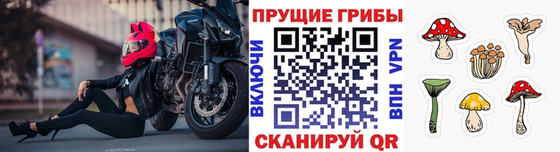 Купить закладки  Мантурово  Псилоцибиновые грибы MAGIC MUSHROOMS 